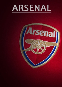download Arsenal 25/26 POLO Light Green